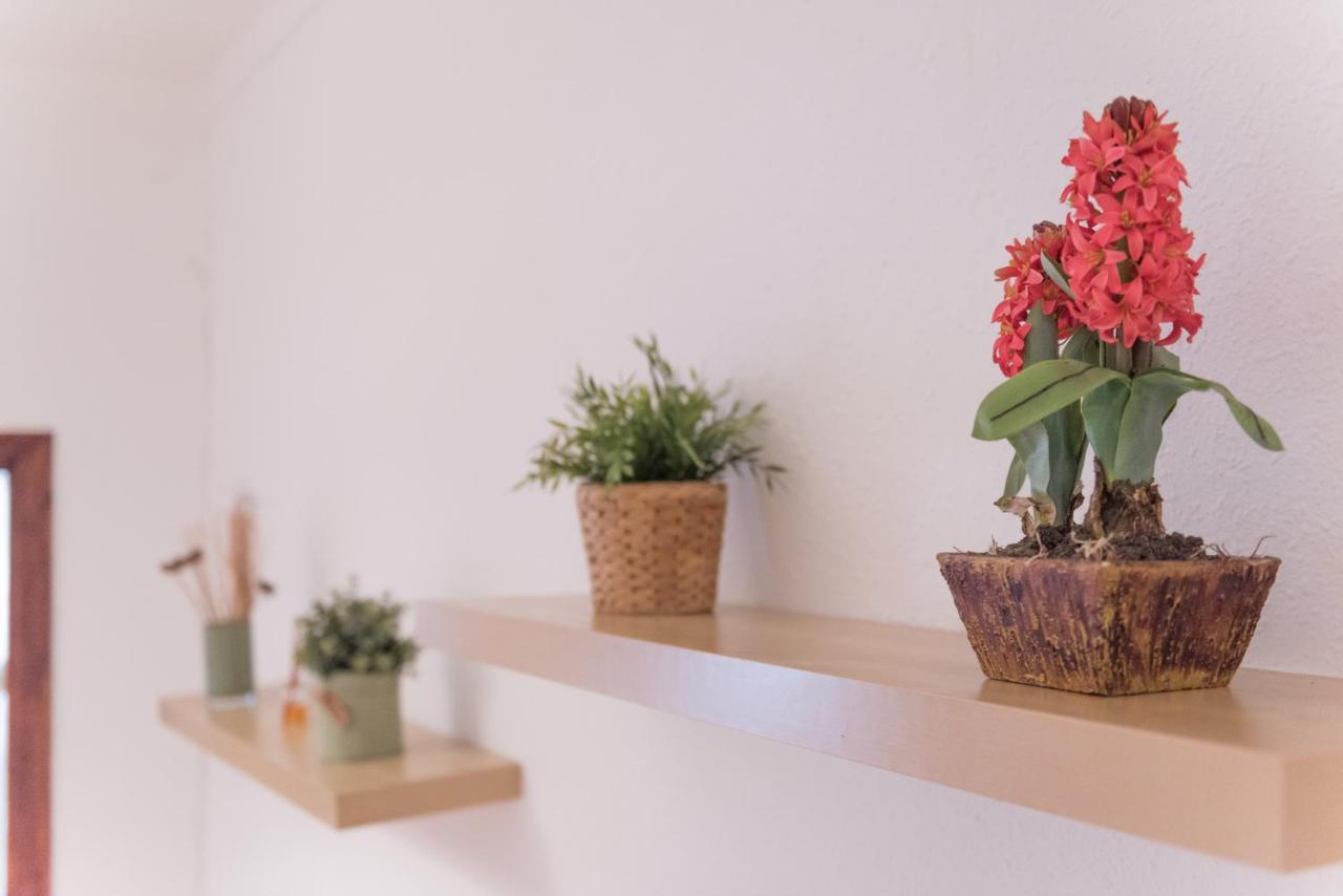 Sweet Bcn Studio With Terrace Βαρκελώνη Εξωτερικό φωτογραφία